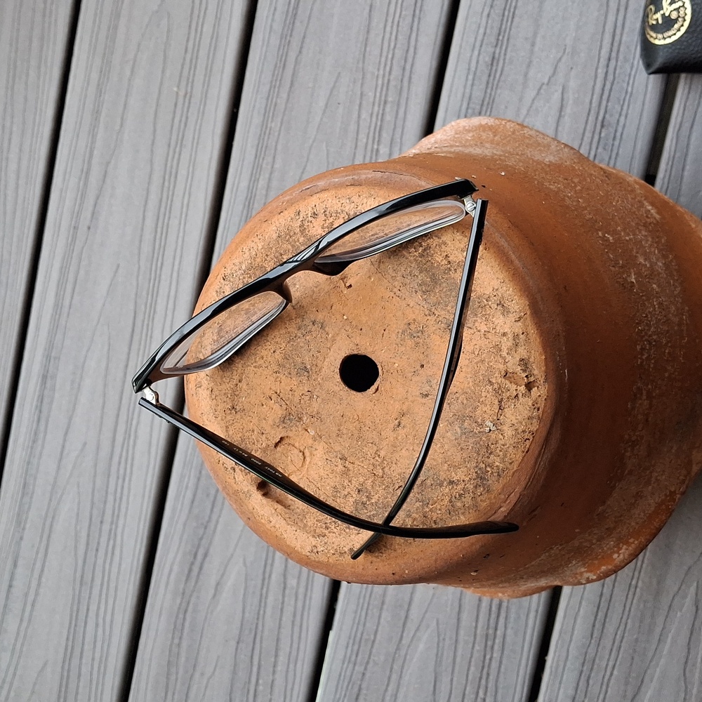 Ray-Ban Frames - image 7